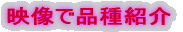 fŕiЉ
